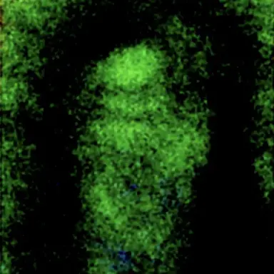 Profile image of Mr.アセンディオ