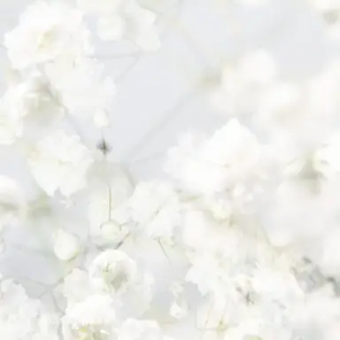 Profile image of 승우