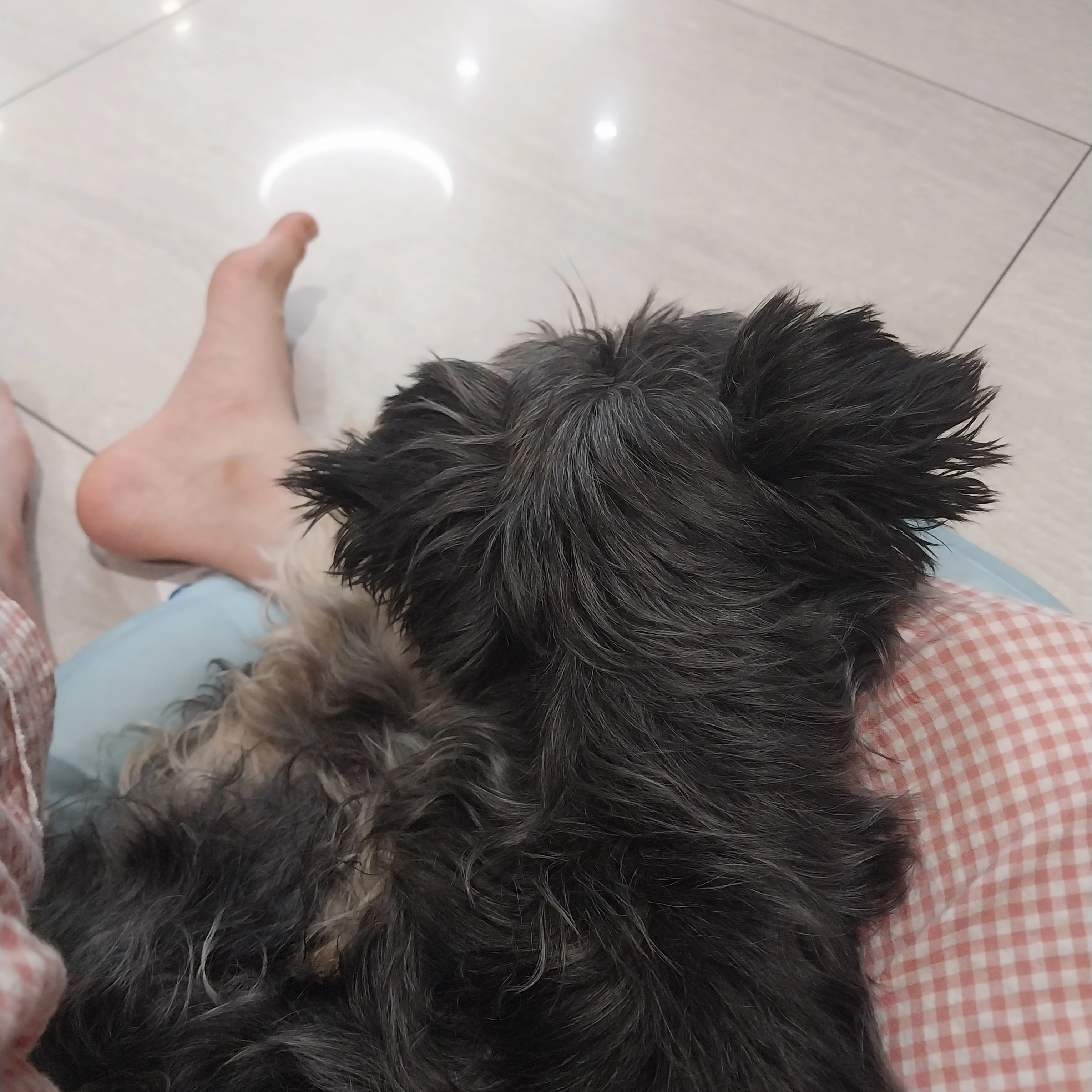 오뉴