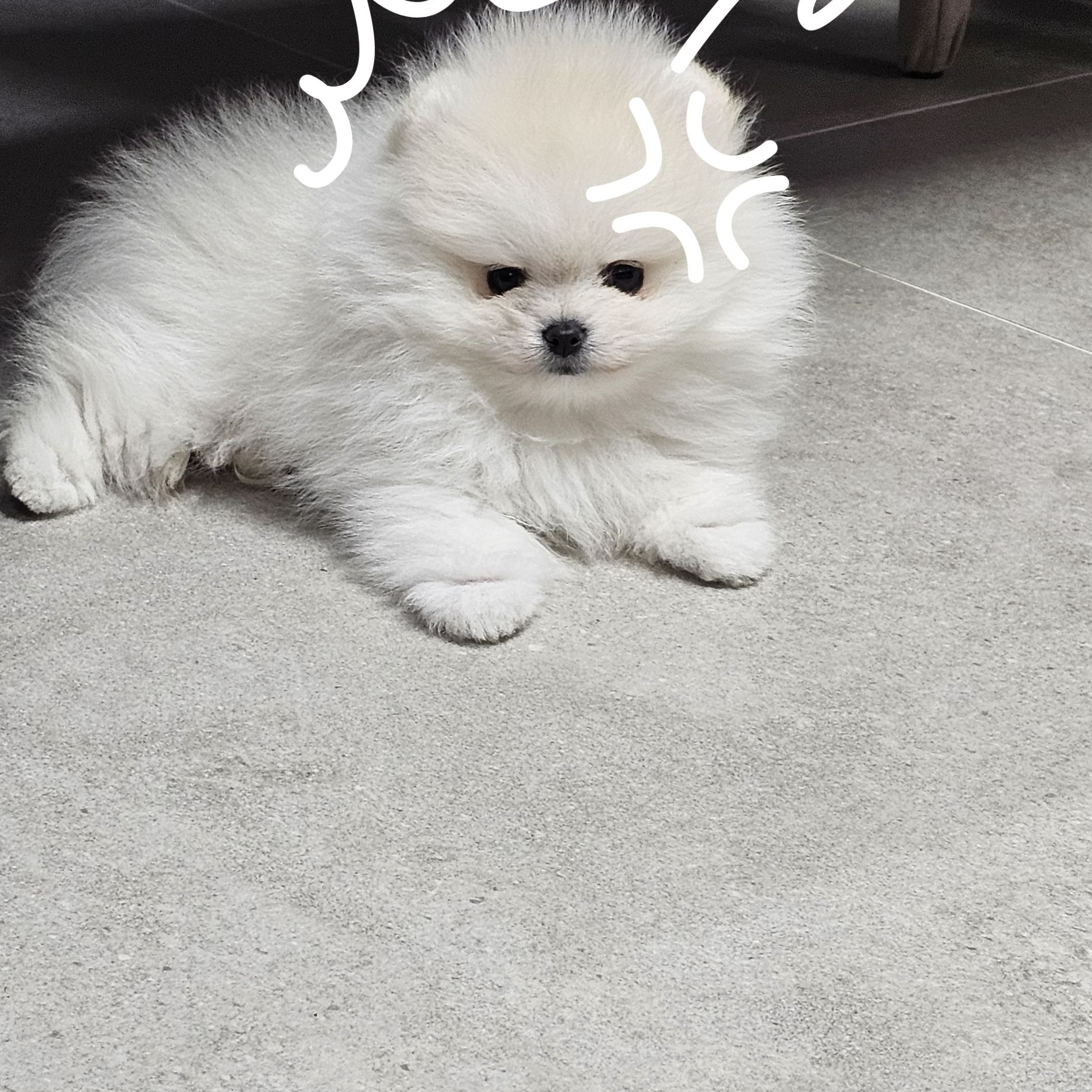 아이브💗 대표 이미지