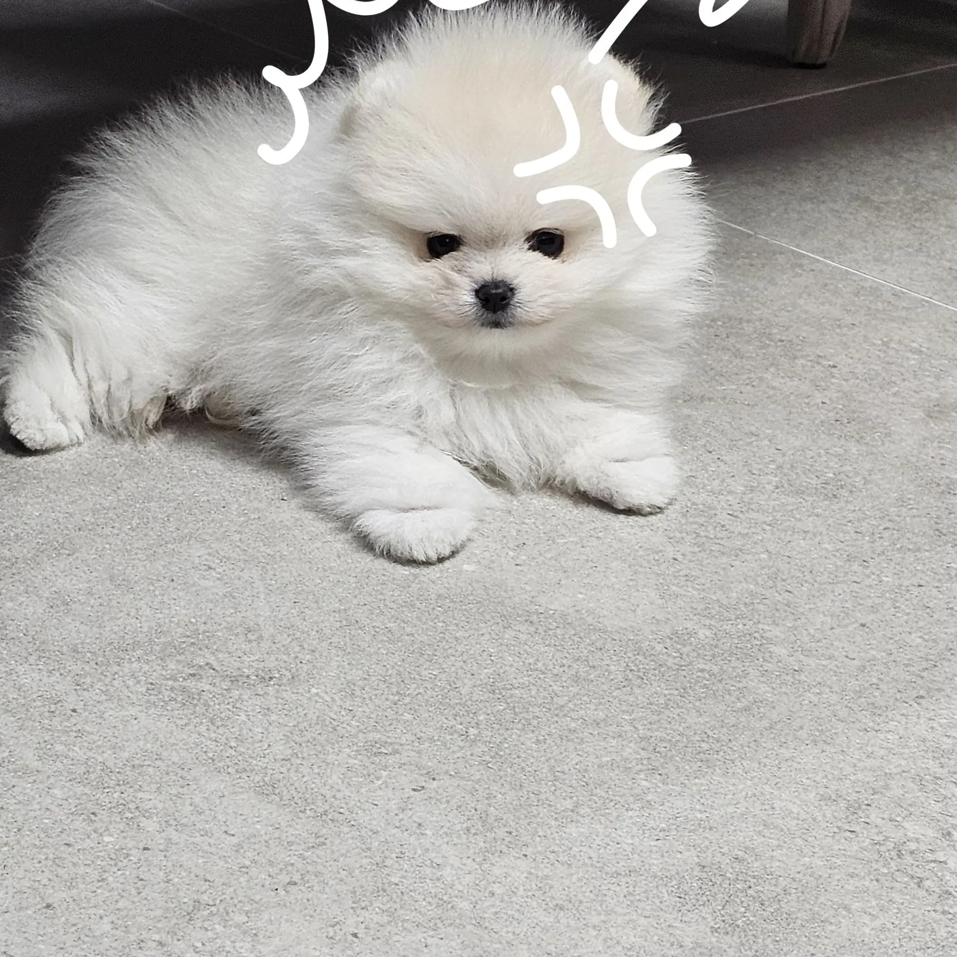 LHOHDl의 아이브💗