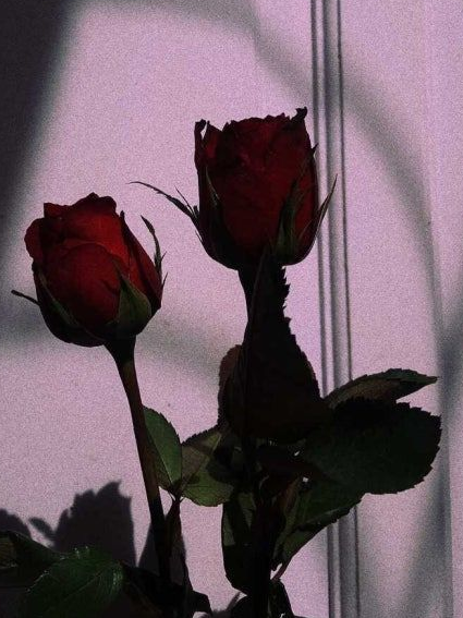 우리는 "우주해적"이다! 대표 이미지