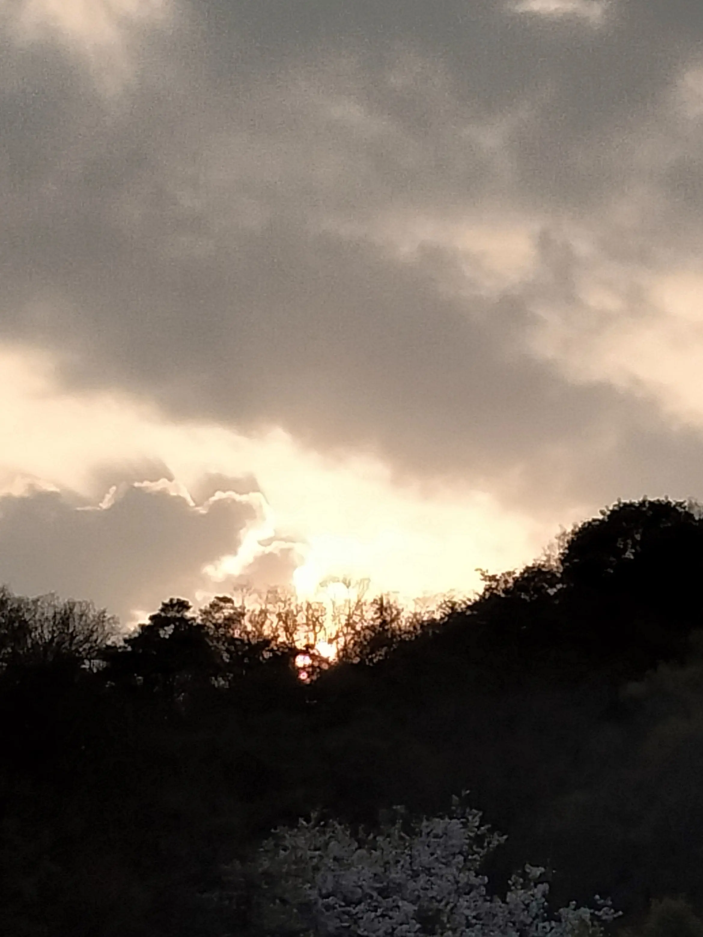 OpenRadar0450의 双子の兄弟(？)とシェアハウス！？