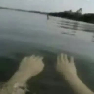 Profile image of 테일러 존스