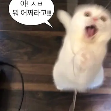 Profile image of 이민호