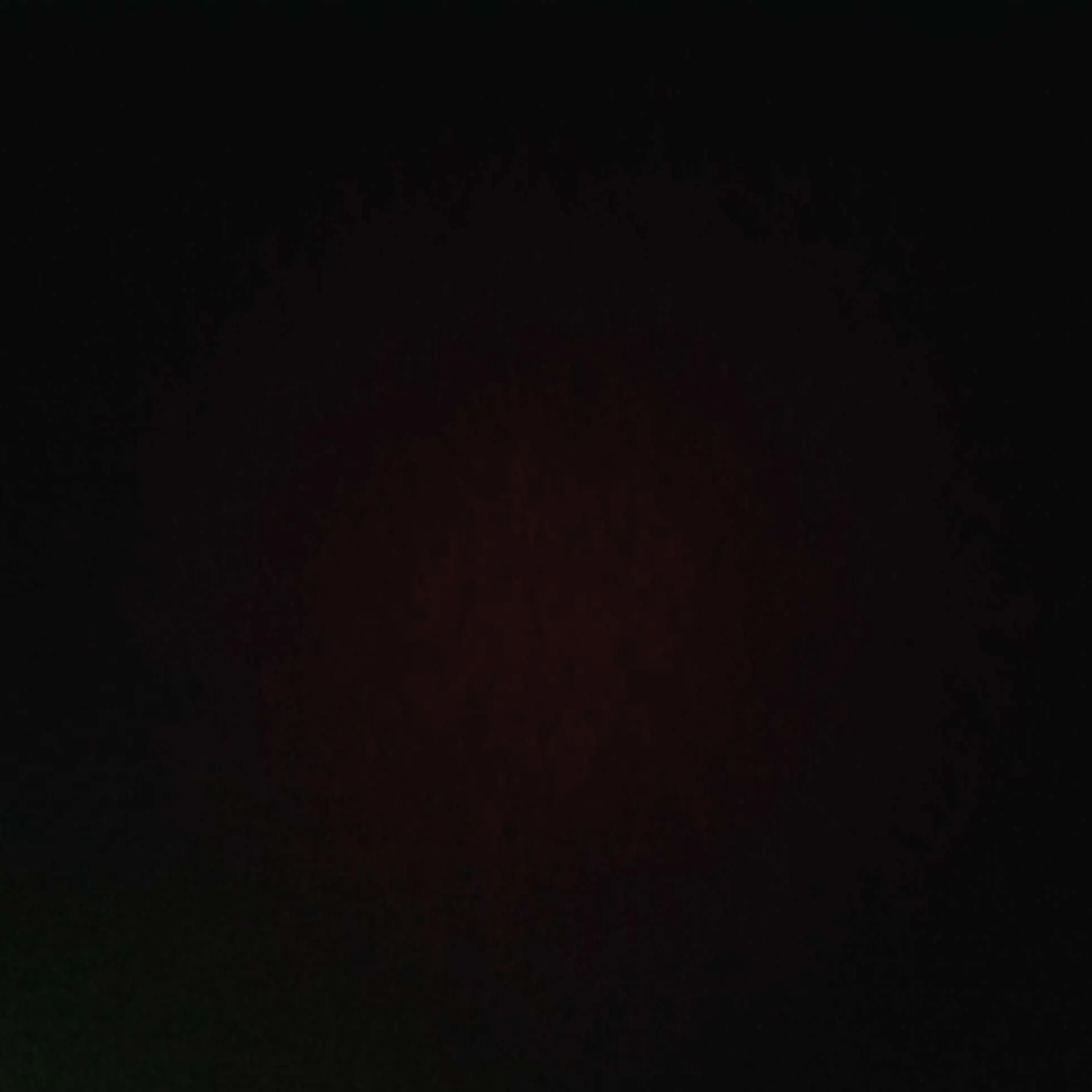 NuttyAinu9937의 まりきんだぜ