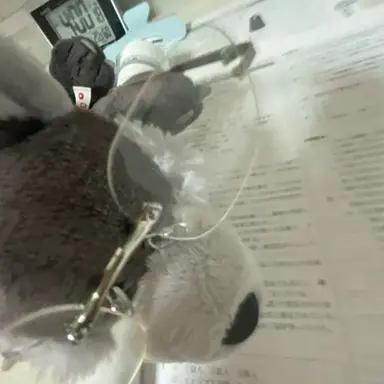 Profile image of 汐恩