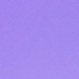 Profile image of 翔也