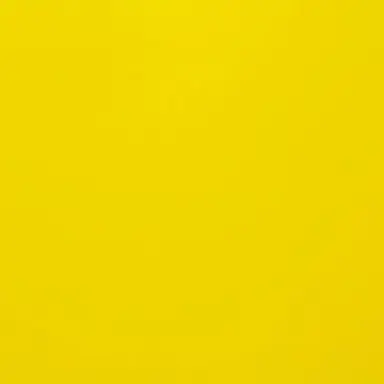 Profile image of 소정