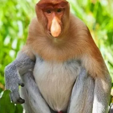 Profile image of 이여우