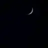Profile image of .