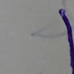 Profile image of 博麗霊夢