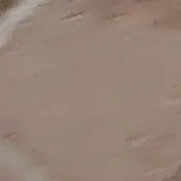 Profile image of 草薙三葉