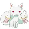 Profile image of 큐베