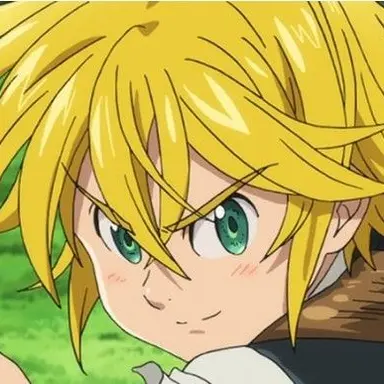 Profile image of メリオダス