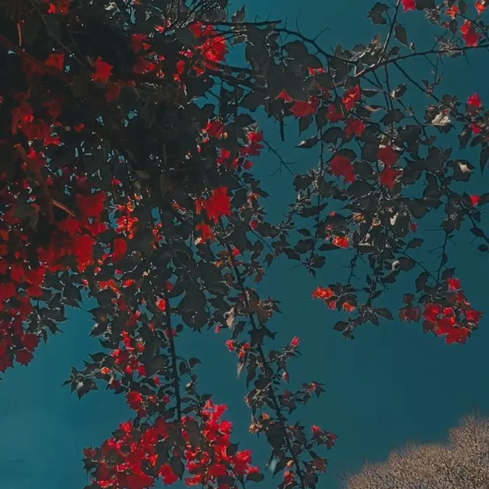 Tukasaki__의 アレス