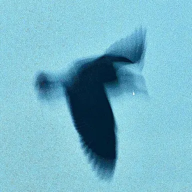 Profile image of 막스 데미안