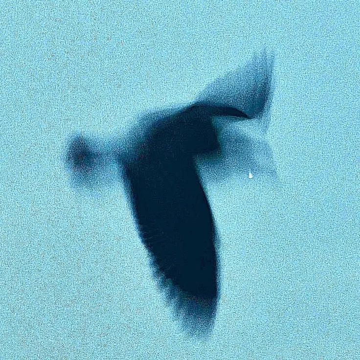 Produgjiller의 데미안