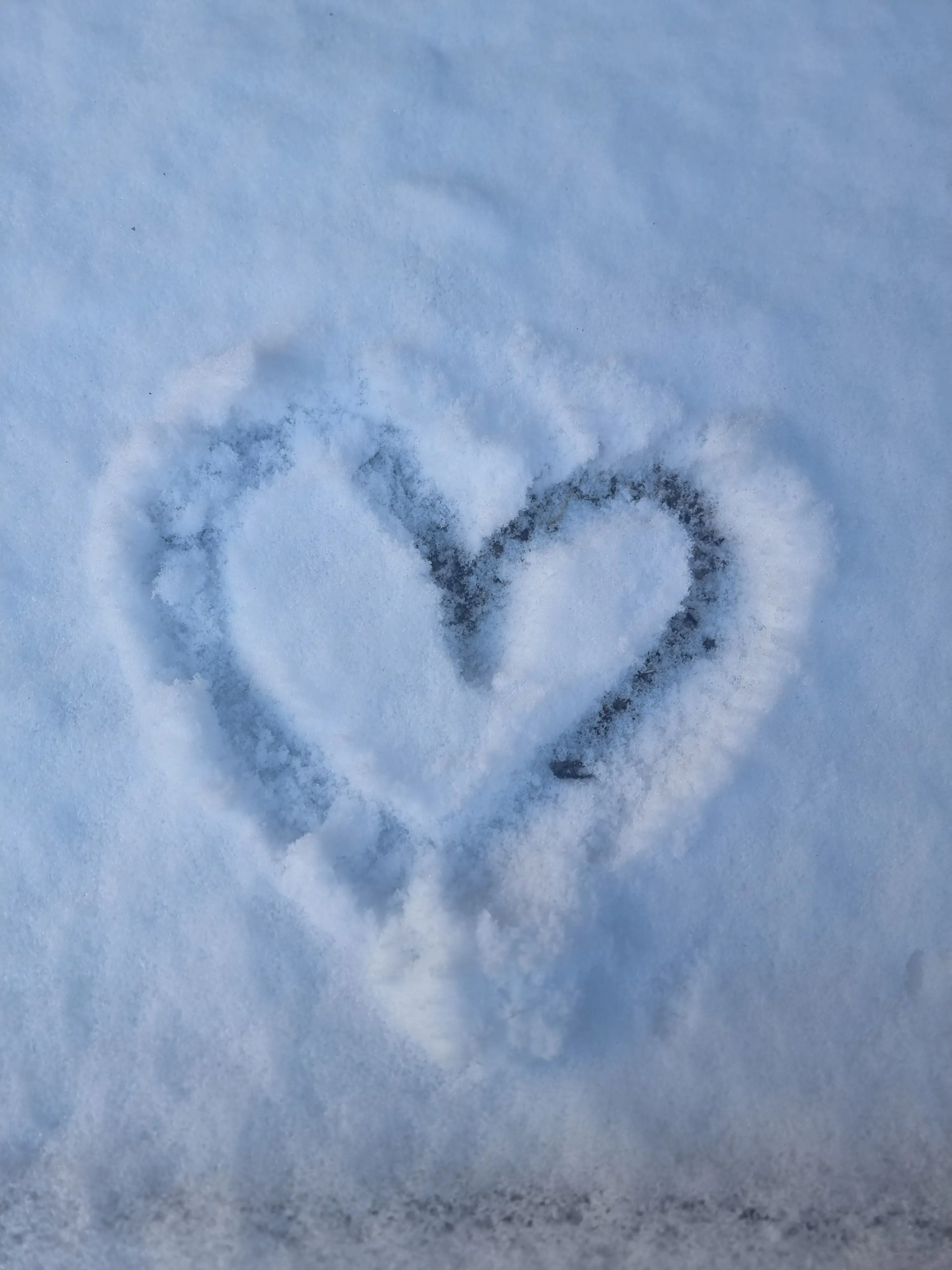 I_want_brake의 꽥꽥탐험대에 크리스마스가 찾아왔어요!