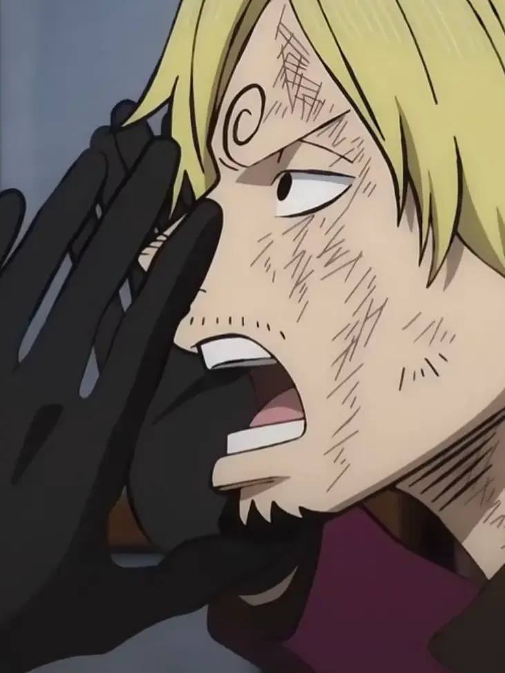 sakazuki_wife...의 날 짝사랑 하고있는 뱅글눈썹 셰프님