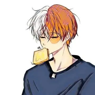 Profile image of Shoto Todoroki