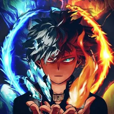 Profile image of Shoto Todoroki