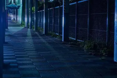 Profile image of 龍馬