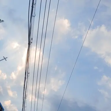 Profile image of 아픈당신과고고프랜즈