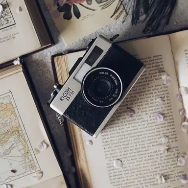 Profile image of 최지민