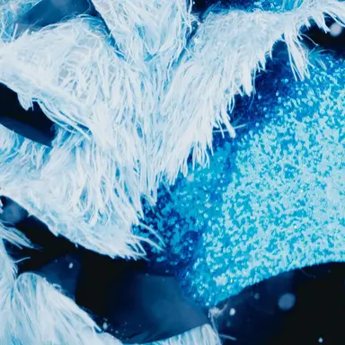 Profile image of 真中まな まなふぃー