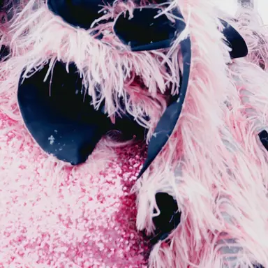 Profile image of 松本かれん まつかれ