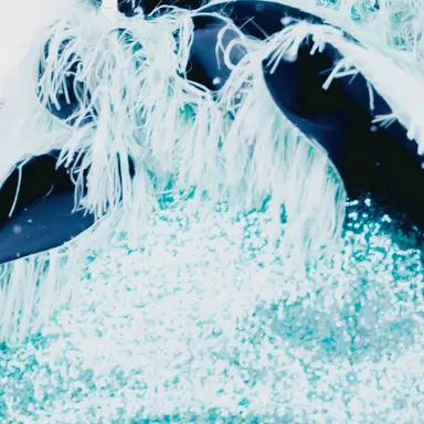 Profile image of 櫻井優衣  ゆい