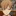 白布賢二郎