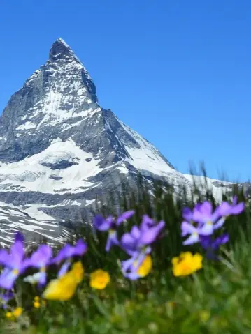 Kiitos의 Sound of Music