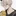 凪 誠士郎