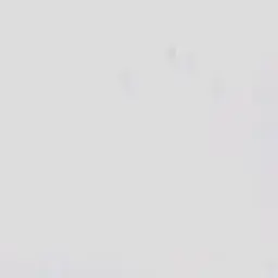 -960717의 저너누