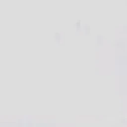 전원우