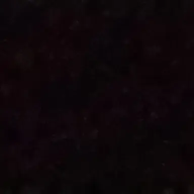 Profile image of 듀크