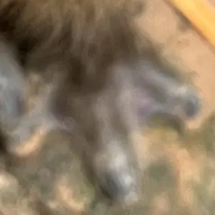 Profile image of 나윤서