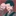 Mr.コンプレス