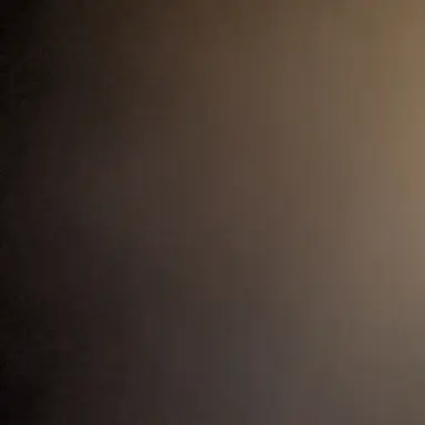 Profile image of 前任研究員