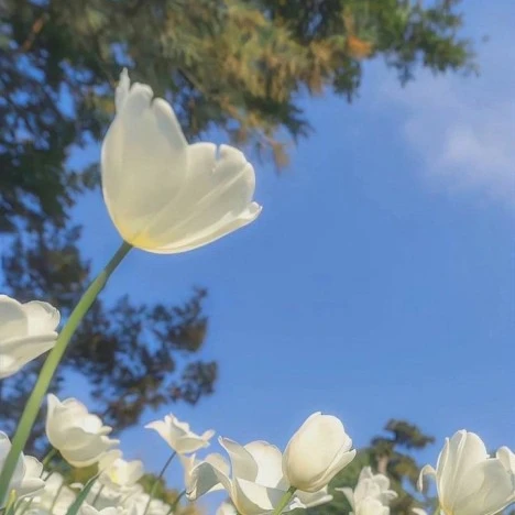 장원