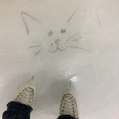 Profile image of 오토 레이니