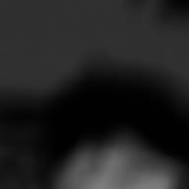 Profile image of イル