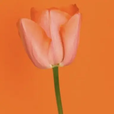 Profile image of 덕개 학생