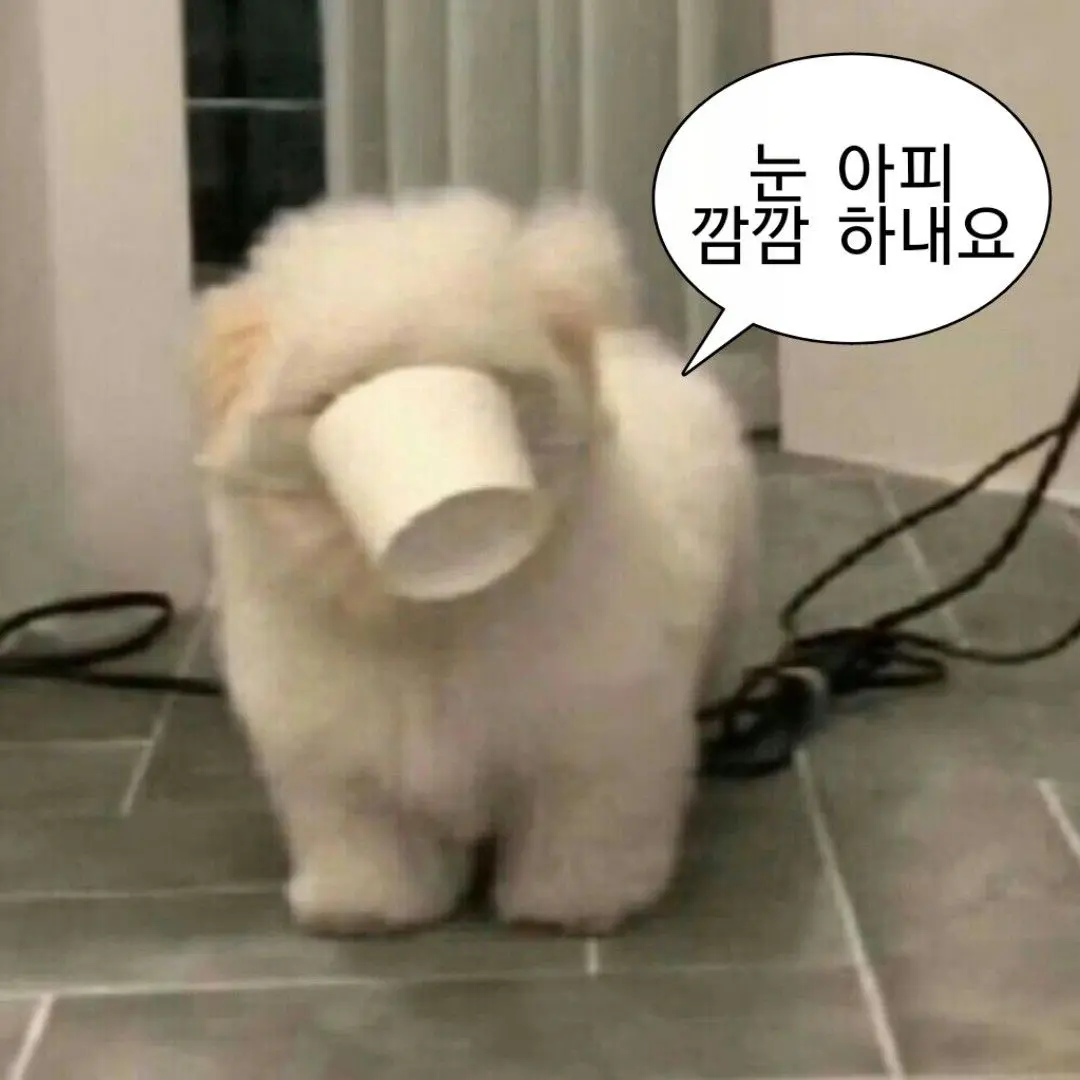 FancyOwl7514의 김규빈