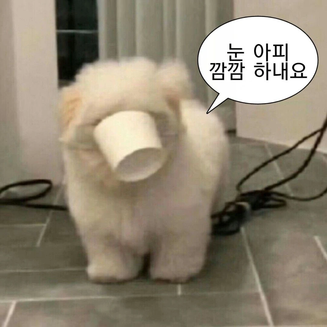 김규빈