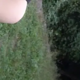 Profile image of 김애리