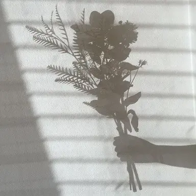 Profile image of 정공룡