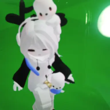 Profile image of 포치코